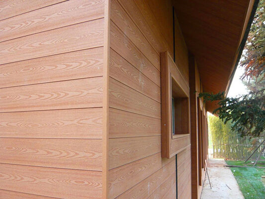Rivestimento per pareti in WPC coestrusione da 20 mm di vendita calda