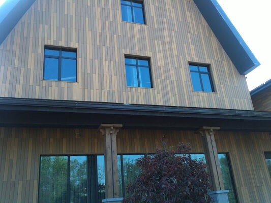Rivestimento per pareti in WPC coestrusione 20X155mm di vendita calda